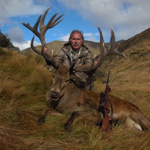 New Zealand Red Deer Stag
