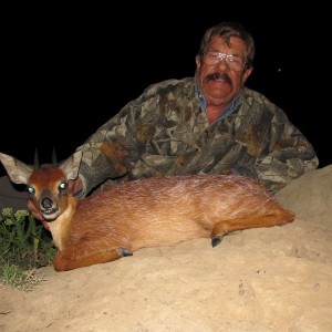 Umdende Hunting Safaris Grysbuck