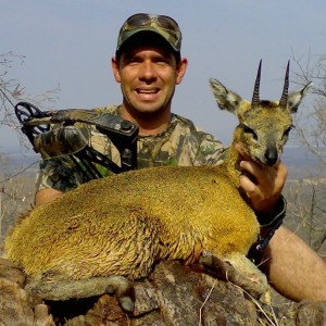 Klipspringer