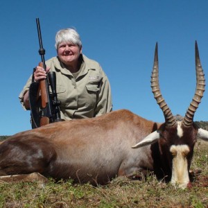 Blesbok