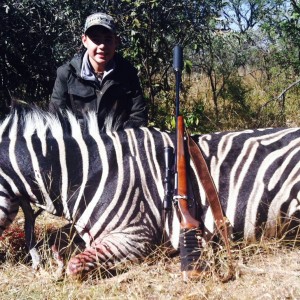 My Latest Hunt : Burchell's Zebra