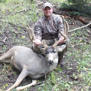 2012 Mule Deer