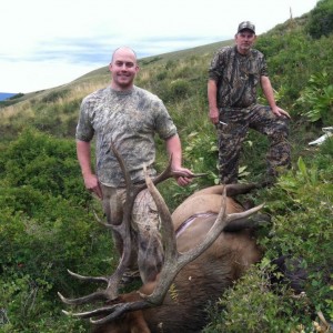 Colorado Elk 2011