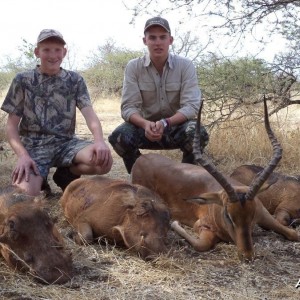23 1/4 " Impala and 3 warthogs shot by a client at Harmonie Safari's.