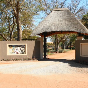 Welcome to Limcroma Safaris