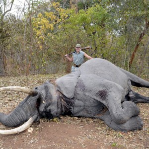 Hunter's Elephant