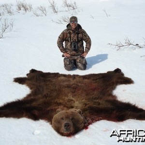 Brown Bear Hunt Alaska