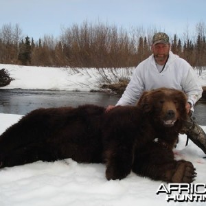 Brown Bear Hunt Alaska