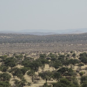 transition from savanna to thornveld at Kowas