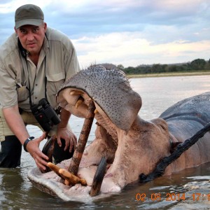 HIPPO Hunt Available for 2014