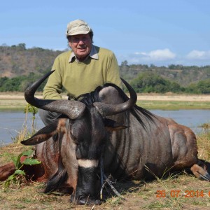 Nyasa Wildebeest