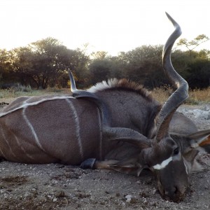 My Kudu