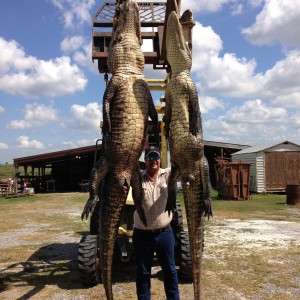 Alligator Hunt Louisiana