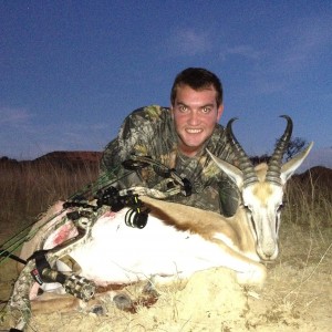 Springbok