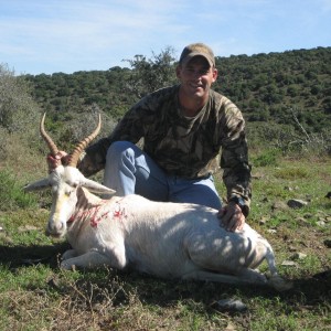 White blesbok