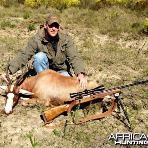 Blesbok