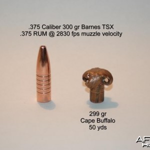 Barnes 375 300gr TSX