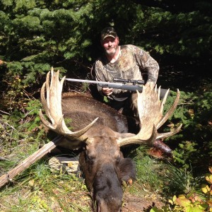 Idaho Shiras Moose