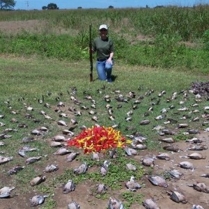 Bird hunting in Argentina