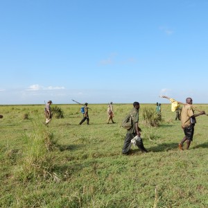 Zambezi Delta march to the birds