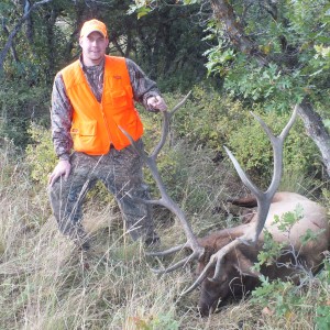 Colorado Elk 2014