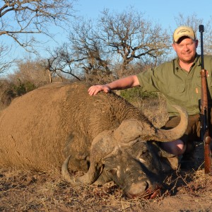 Buffalo KMG Hunting Safaris
