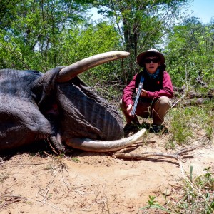 Elephant Zimbabwe, November 2014