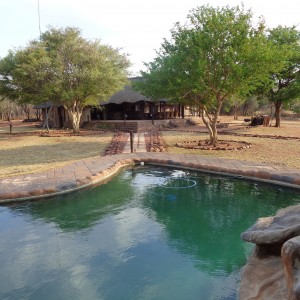 Lodge Pool at Arc Africa Hunting Safaris - Waterberg Concession