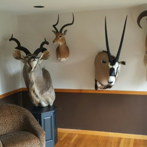 Trophy room, finished