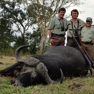 Buffalo Tanzania