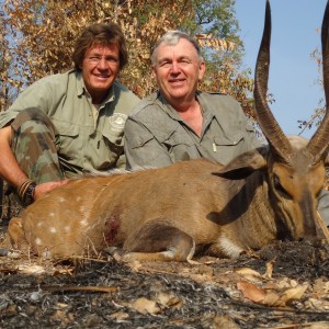 Bushbuck Tanzania