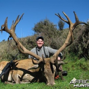 Red Stag Hunt New Zealand