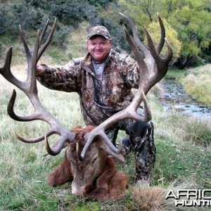 Red Stag Hunt New Zealand