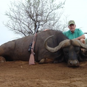 Buffalo hunting in South Africa