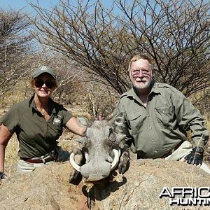 Warthog hunted at Westfalen Hunting Safaris Namibia