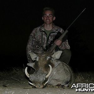 Warthog hunted at Westfalen Hunting Safaris Namibia