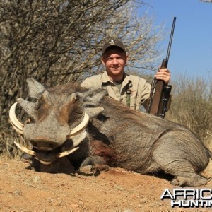 Warthog hunted at Westfalen Hunting Safaris Namibia