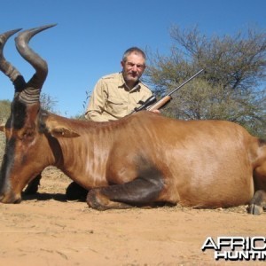 Red Hartebeest hunted at Westfalen Hunting Safaris Namibia