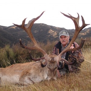 Red Stag taken in New Zealand