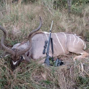 good kudu