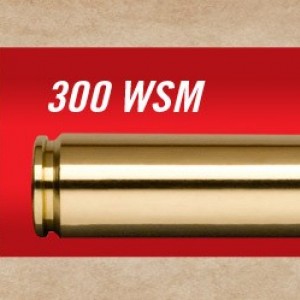 .300 Winchester Short Magnum