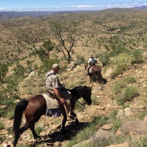 Horseback Hunting In Namibia