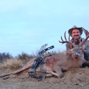 Buck North of Mexico