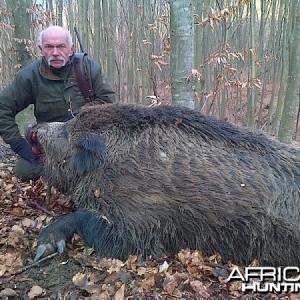 big boar