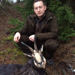 Chamois Hunt in Romania