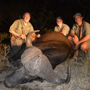 Buffalo hunt South-Africa