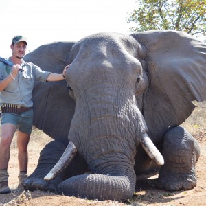 Elephant hunting