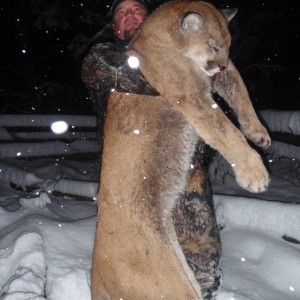 Cougar hunt in British Columbia Canada