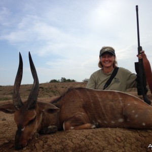 Nile Bushbuck