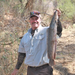 Marico River Catfish Limcroma Safaris